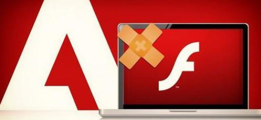 谷歌浏览器中的Flash不是最新版本，影响、解决方案与未来展望